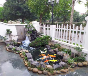 hồ cá koi