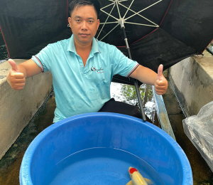 cá koi nhật tại trại chúng tôi