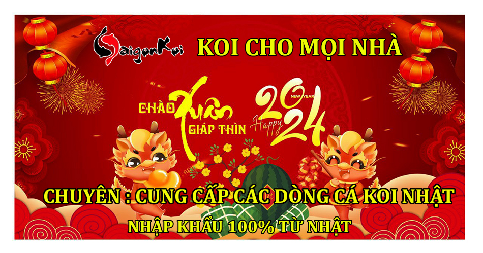 cá chép phi tần