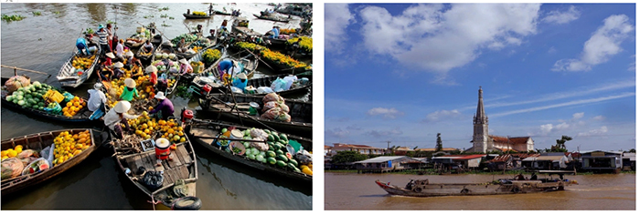 cá Koi Tiền Giang