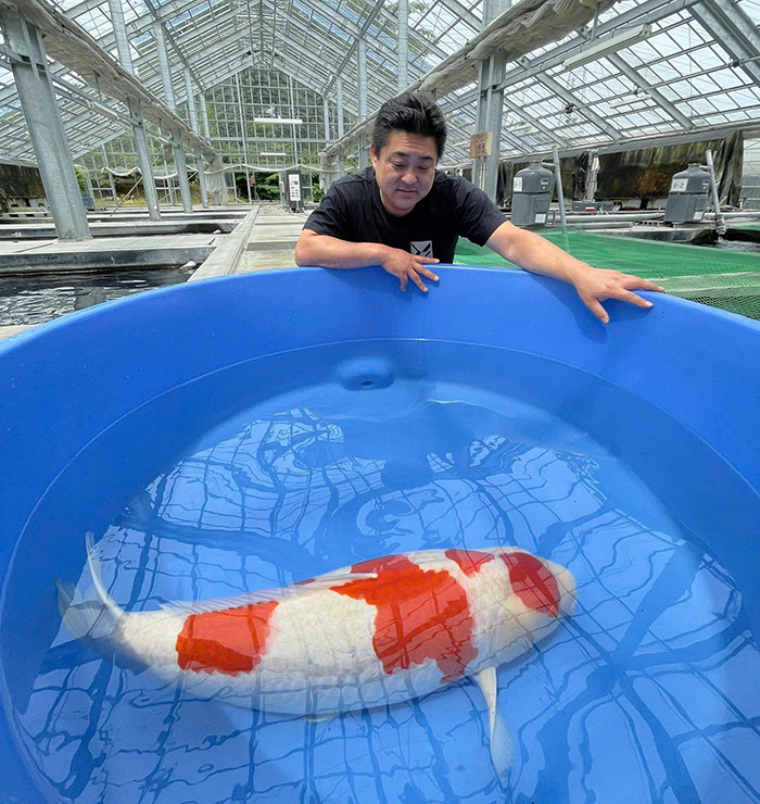 cá koi nhật sài gòn