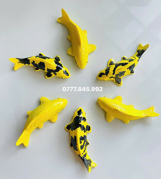 thị trường cá koi